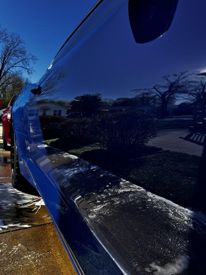 Professional detailing